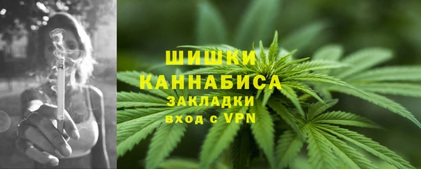 сатива Лагань
