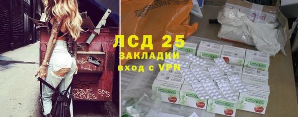 сатива Лагань