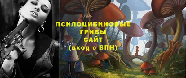 Альфа ПВП Лиски