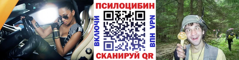 дарк нет официальный сайт  Тюкалинск  Псилоцибиновые грибы мицелий 